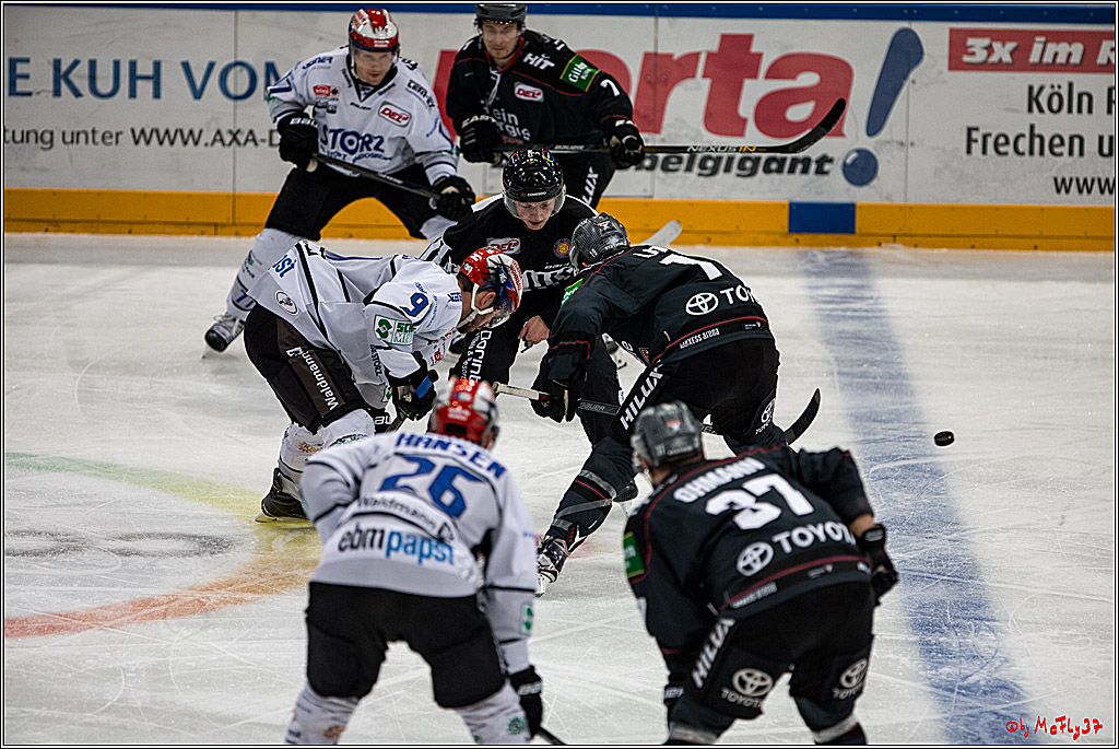 Koelner Haie - Schwenninger Wild Wings, 11.12.2016